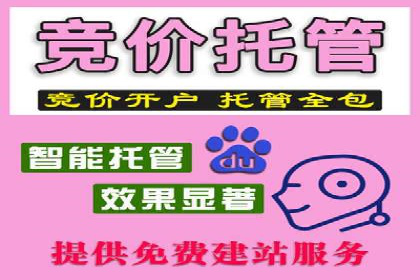 信息流投放策略：成功案例解析与效果评估